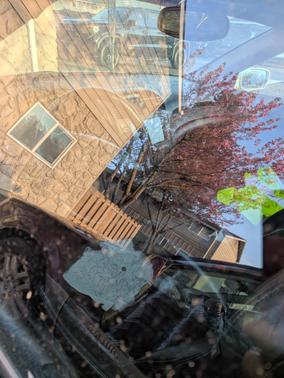 White 2006 Acura TL Base