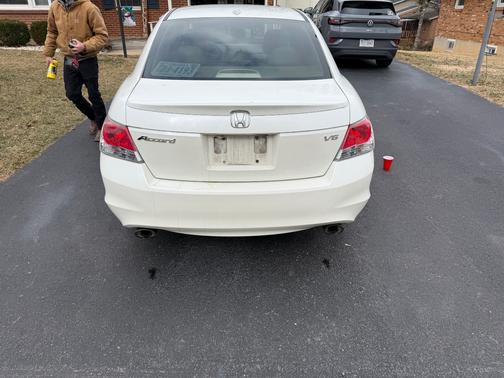 2010 Honda Accord EX-L