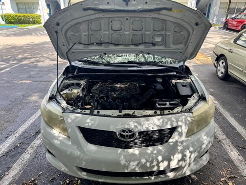 White 2010 Toyota Corolla LE