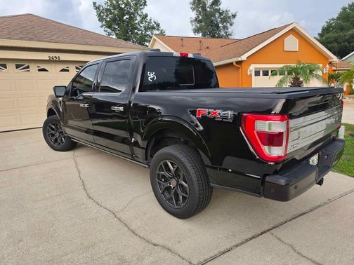 Brown 2021 Ford F-150 Platinum