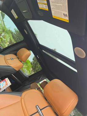 Brown 2021 Ford F-150 Platinum