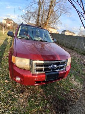 2008 Ford Escape XLT
