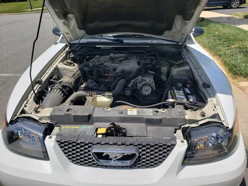 White 2003 Ford Mustang GT