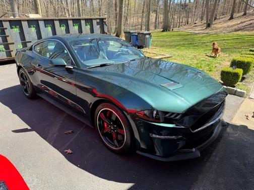 Green 2019 Ford Mustang Bullitt