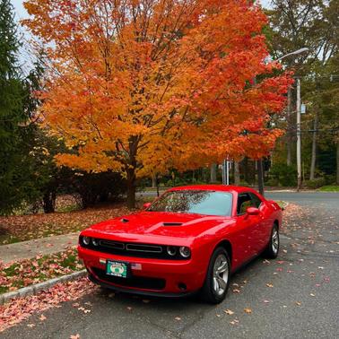 Red 2022 Dodge Challenger SXT