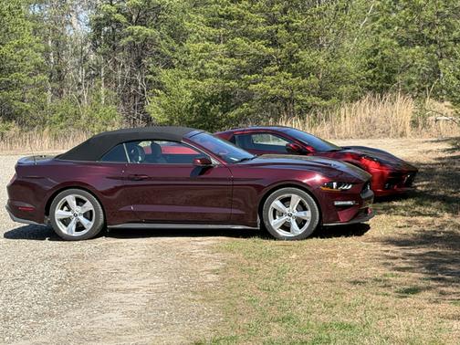 Red 2018 Ford Mustang EcoBoost Premium