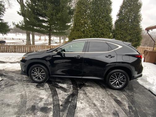 2023 Lexus NX 350h Base
