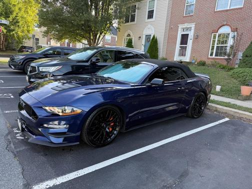 Blue 2019 Ford Mustang GT Premium