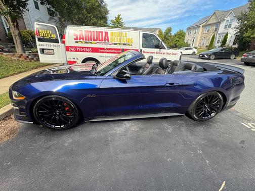 Blue 2019 Ford Mustang GT Premium