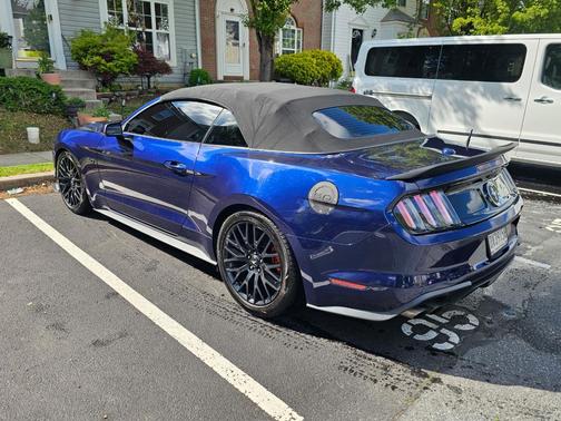 Blue 2019 Ford Mustang GT Premium