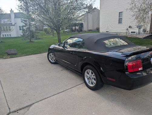 Black 2006 Ford Mustang Base