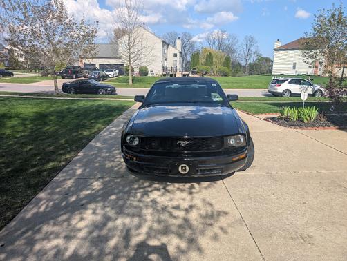 Black 2006 Ford Mustang Base