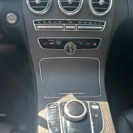 Gray 2019 Mercedes-Benz C-Class C 300