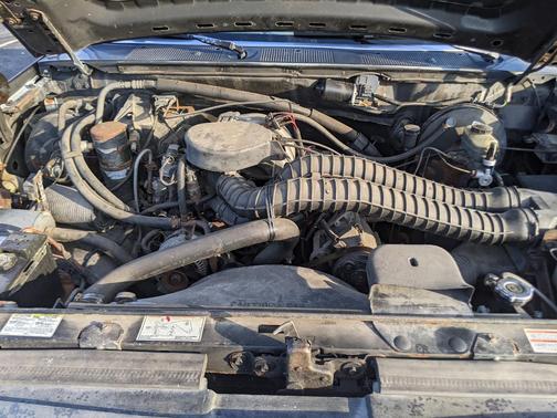 Black 1994 Ford F-150 XL