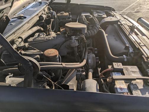Black 1994 Ford F-150 XL