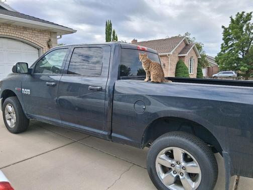 Blue 2015 RAM 1500 Tradesman