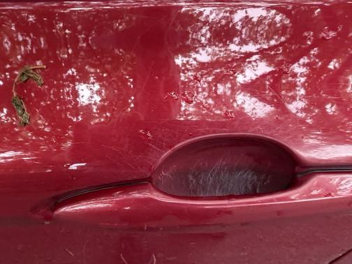 Red 2019 Toyota Camry Hybrid XLE