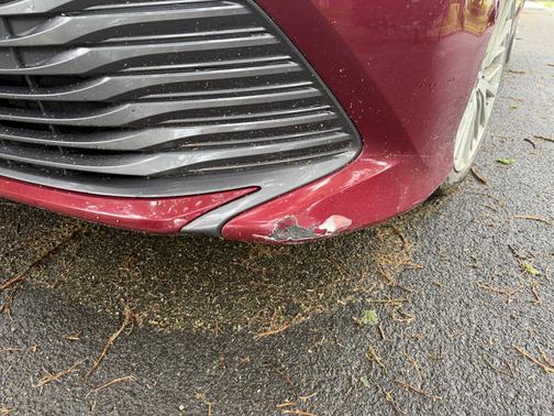 Red 2019 Toyota Camry Hybrid XLE