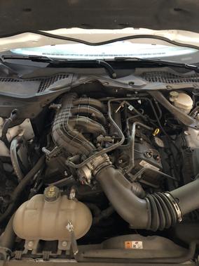 2015 Ford Mustang V6