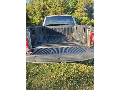 Green 2020 Ford F-150 XLT