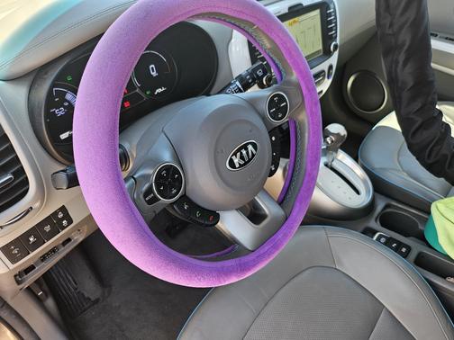 2015 Kia Soul EV +
