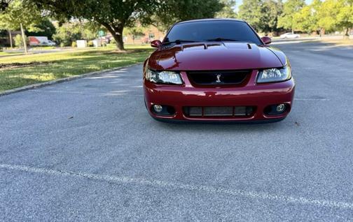 Red 2003 Ford Mustang SVT Cobra