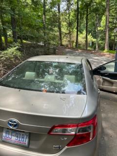 2014 Toyota Camry Hybrid LE