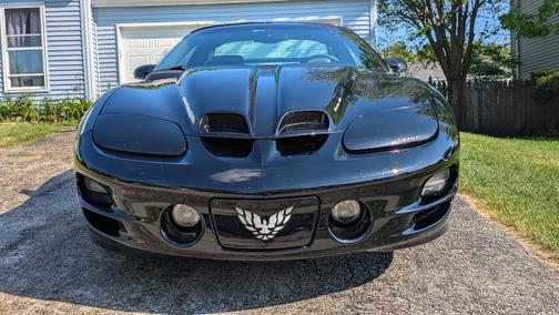 Black 1998 Pontiac Firebird Trans Am