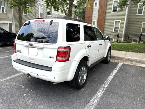 White 2010 Ford Escape XLT