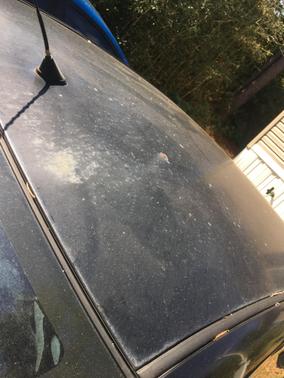 Black 2008 Toyota Corolla S