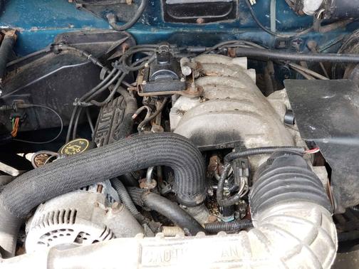 Green 1994 Ford Ranger STX