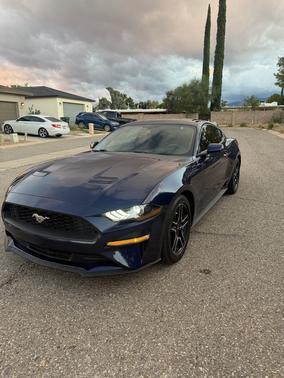 Blue 2019 Ford Mustang EcoBoost