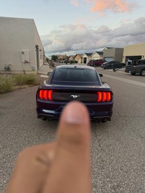 Blue 2019 Ford Mustang EcoBoost
