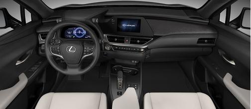 2025 Lexus UX 300h Premium