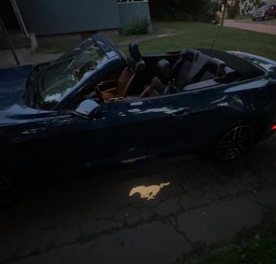 2022 Ford Mustang EcoBoost