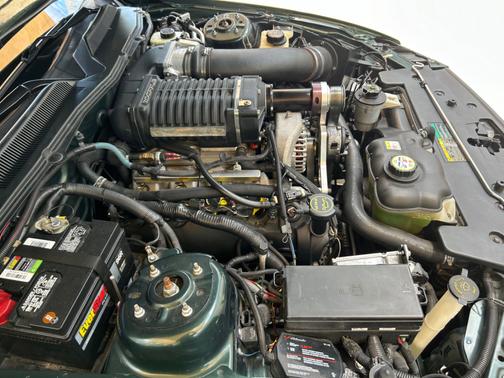 Green 2008 Ford Mustang GT Premium