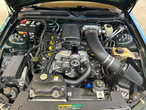 Green 2008 Ford Mustang GT Premium