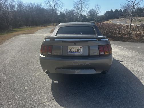 2001 Ford Mustang SVT Cobra
