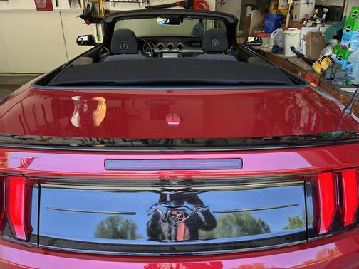 Red 2020 Ford Mustang EcoBoost