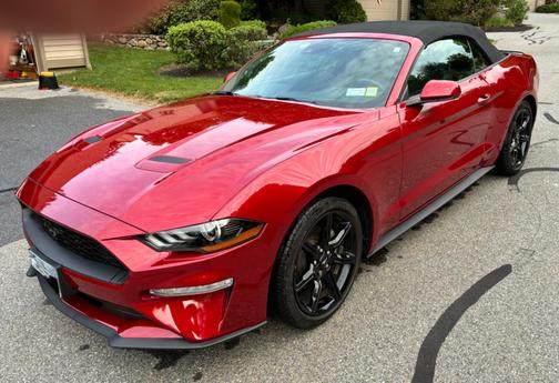 Red 2020 Ford Mustang EcoBoost