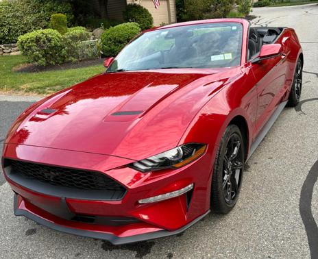 Red 2020 Ford Mustang EcoBoost