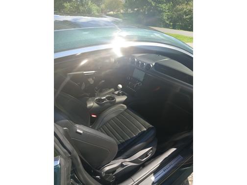 2019 Ford Mustang Bullitt