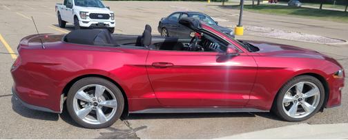 2019 Ford Mustang EcoBoost