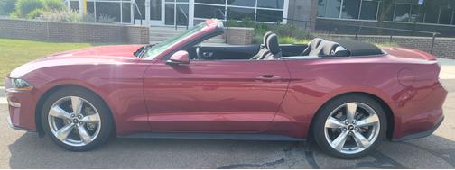2019 Ford Mustang EcoBoost