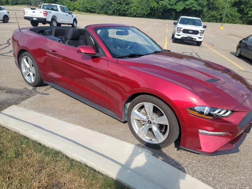 2019 Ford Mustang EcoBoost