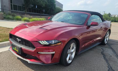 2019 Ford Mustang EcoBoost