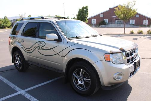 Gold 2010 Ford Escape Limited
