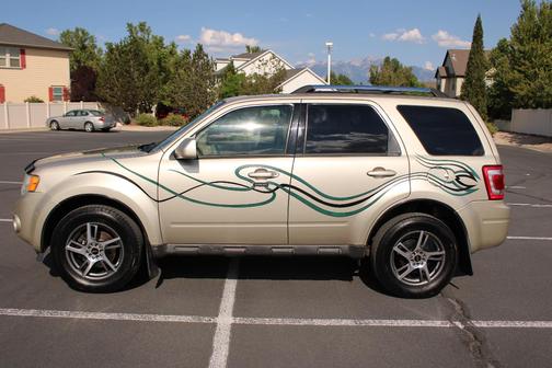 Gold 2010 Ford Escape Limited