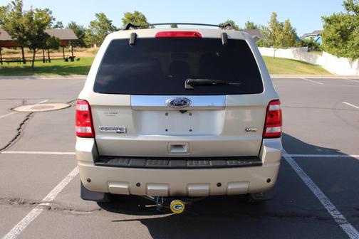 Gold 2010 Ford Escape Limited