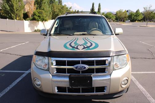 Gold 2010 Ford Escape Limited
